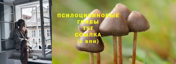 бутират Арсеньев