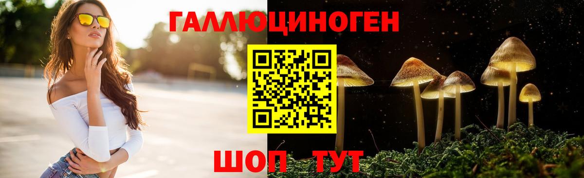 Можга  Галлюциногенные грибы ЛСД  Вход с VPN  Галлюциногенные грибы Psilocybe 